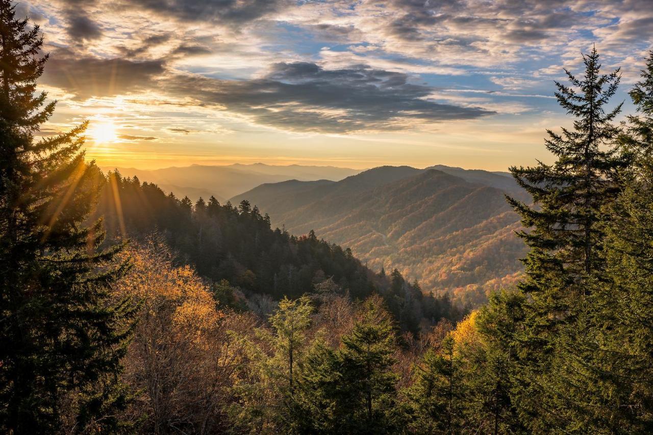 Nature'S Paradise 세비어빌 외부 사진