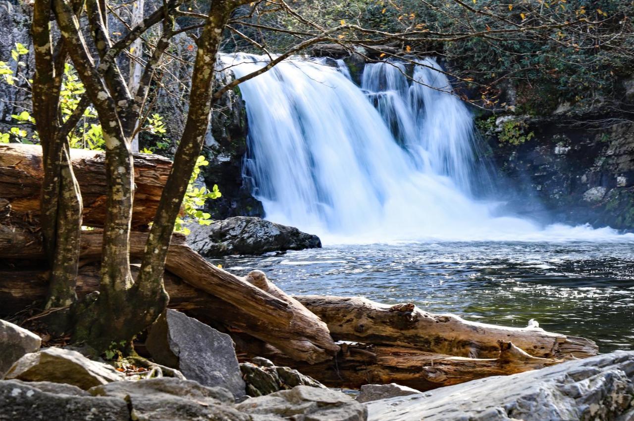 Nature'S Paradise 세비어빌 외부 사진